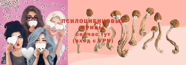 PSILOCYBIN Балабаново
